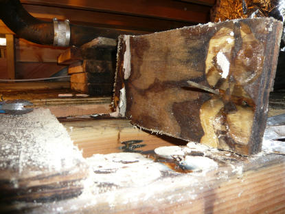 Toilet Leak: Toilet flange leak creating subfloor water damage, mold damage